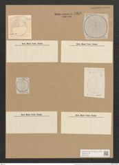 Campylodiscus biangulatus Grev. (de-Toni-Nr.: Genus 57, Species 2438) Zeichnungen Sammlung Grunow Nr. 4905 (NHMW-BOT-W0373106)